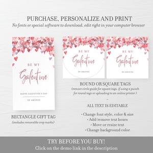 Printable Galentines Gift Tags, Galentines Day Favor Tags Template, Galentines Day Party Favor Tag, Editable DIGITAL DOWNLOAD - VH100