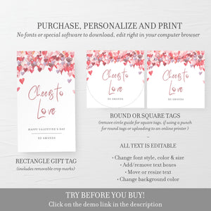Printable Valentines Gift Tags, Valentines Day Favor Tags Template, Valentines Day Party Favor Tag, Editable DIGITAL DOWNLOAD - VH100